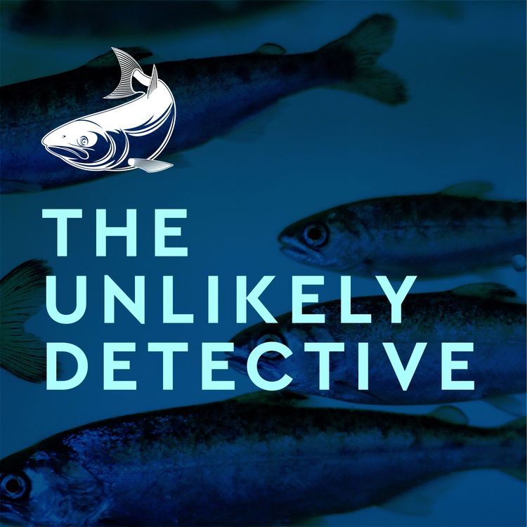 cover art for The Unlikely Detective