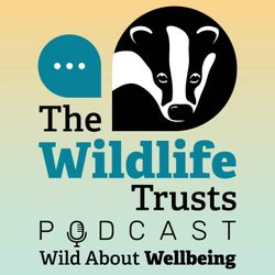 cover art for Wild About Wellbeing