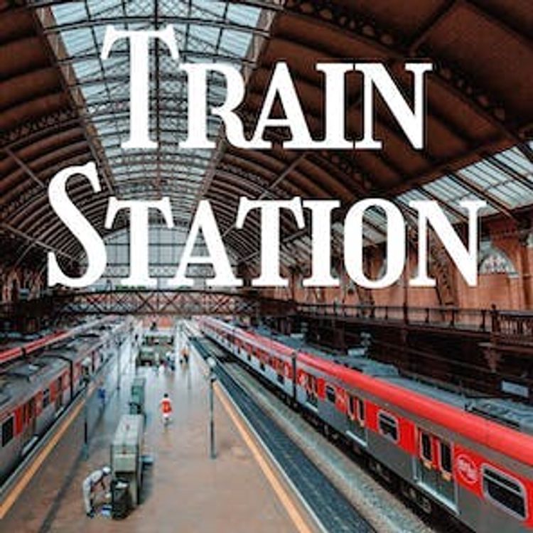 cover art for Busy Train Station - White Noise