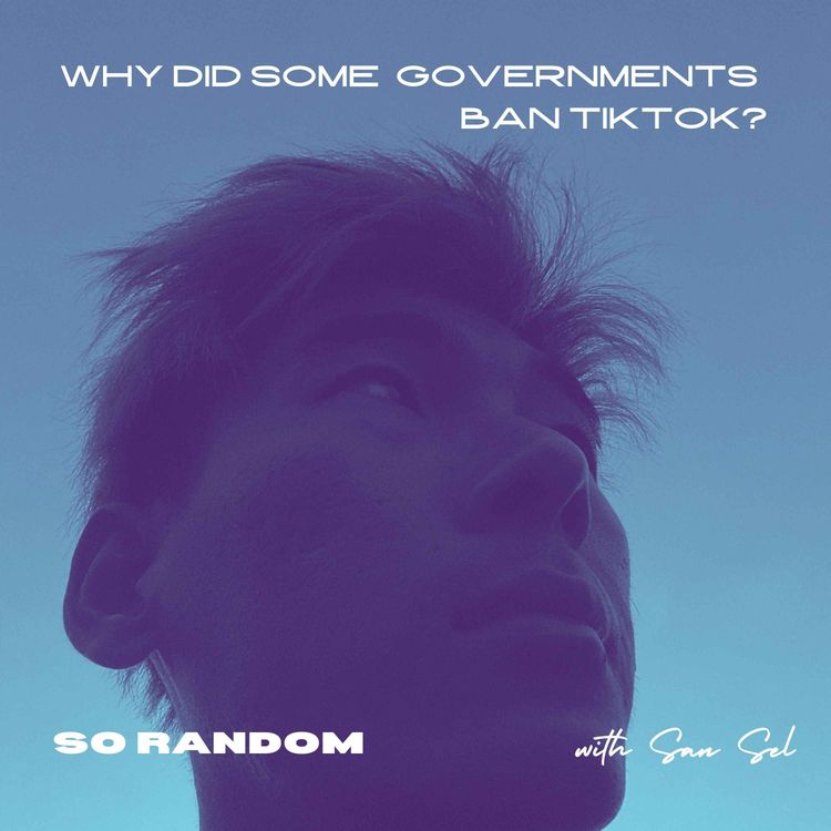 cover art for 3. Why Did Some Governments Ban TikTok?