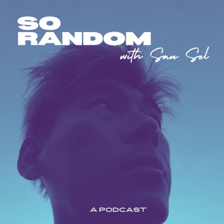 cover art for Introducing: So Random with San Sel