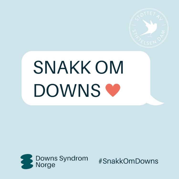 cover art for Snakk om: Søskenlivet