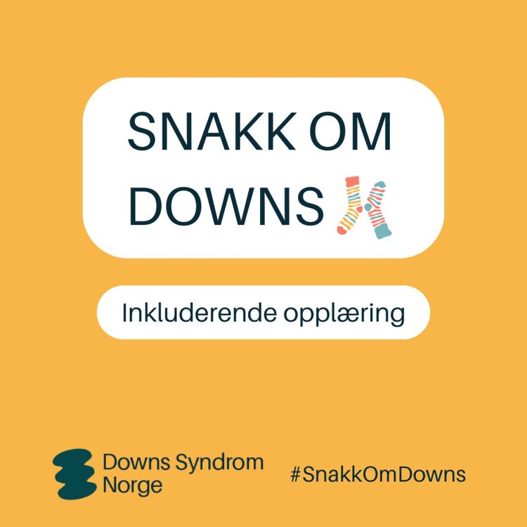 cover art for Inkluderende opplæring: Inkluderende opplæring i praksis
