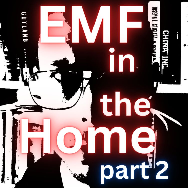 cover art for EMF in the Home (part 2)