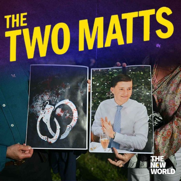 cover art for Nigel Farage gaslights the nation