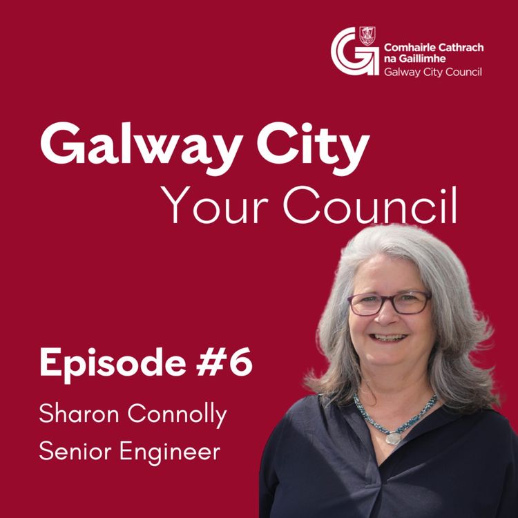 cover art for Sharon Connelly