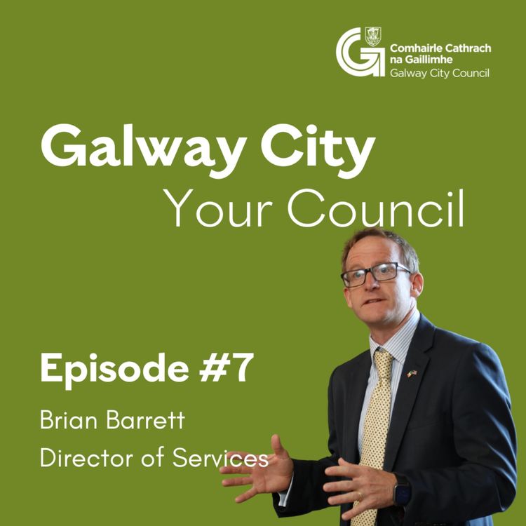 cover art for Brian Barrett