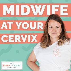 cover art for Midwife at Your Cervix 