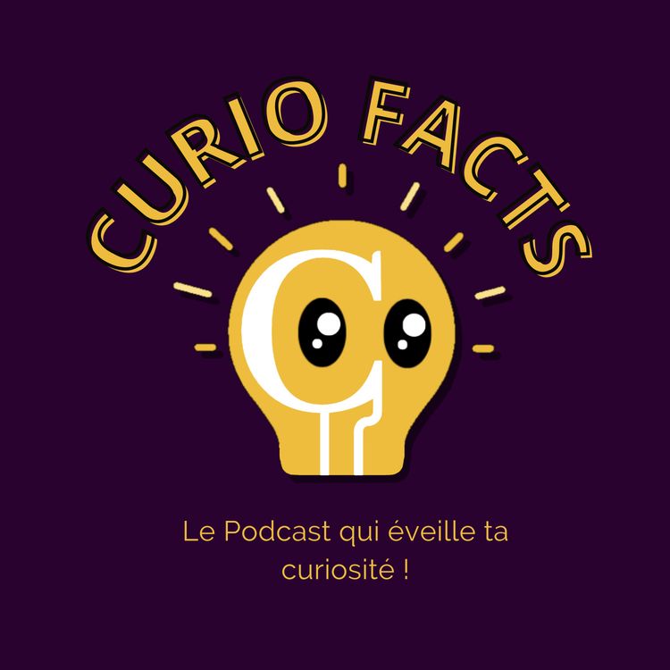 cover art for Comment TOUT Apprendre en 20h 🤓