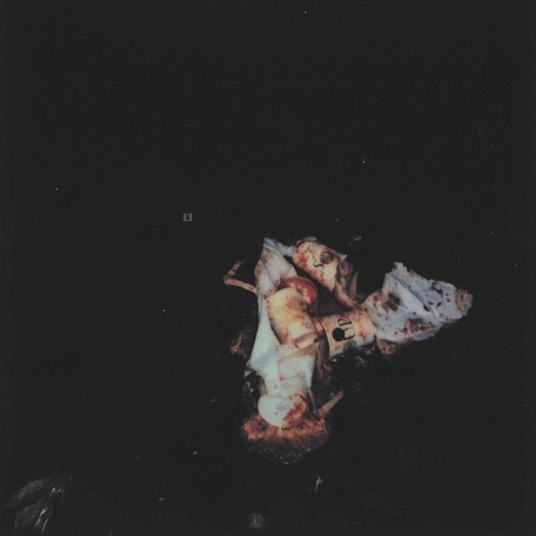 cover art for Week 6 – Towards a New Dialectic