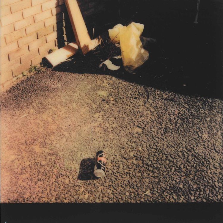 cover art for Week 29 – A Most Gracious Host