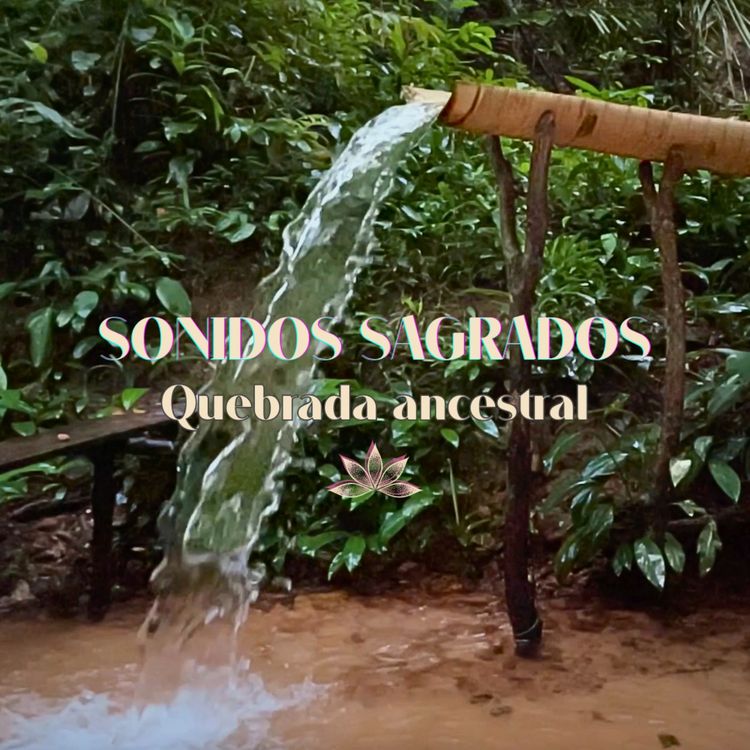 cover art for Meditación: soy uno con el agua