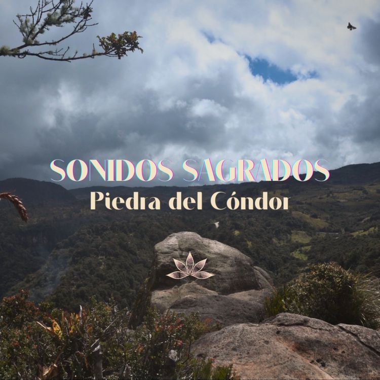 cover art for El vuelo del cóndor