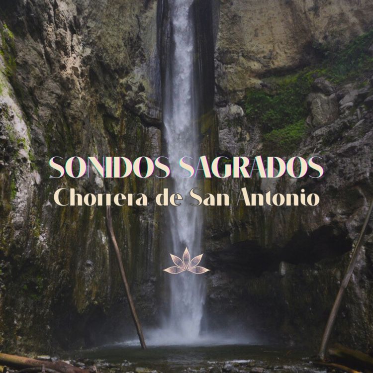 cover art for Deja que el agua te sane