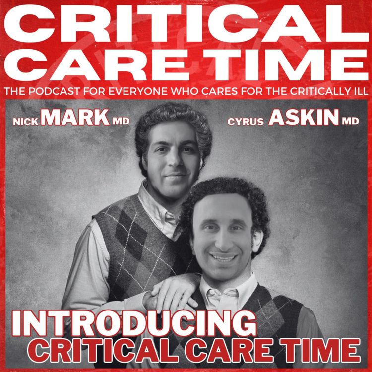 cover art for 0. Introducing Critical Care Time