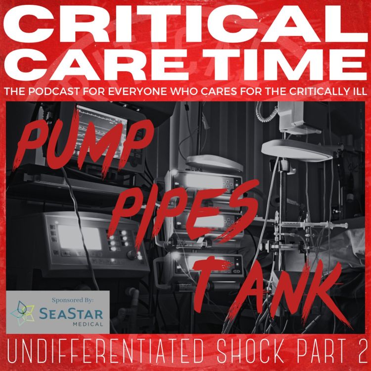 cover art for 2. Undifferentiated Shock Part 2