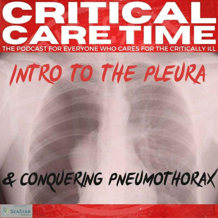 cover art for 10. Intro to The Pleura & Conquering