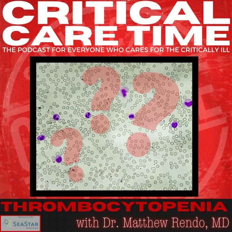 cover art for 24. Thrombocytopenia with Dr. Matthew Rendo, MD.