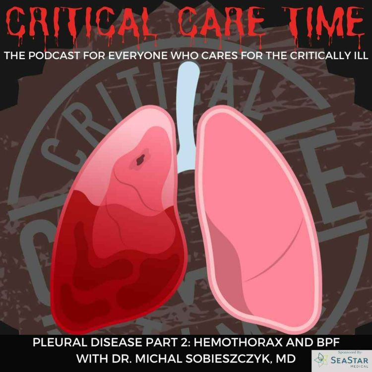 cover art for 29. Pleural Disease Part 2: Hemothorax & BPF with Dr. Michal Sobieszczyk, MD