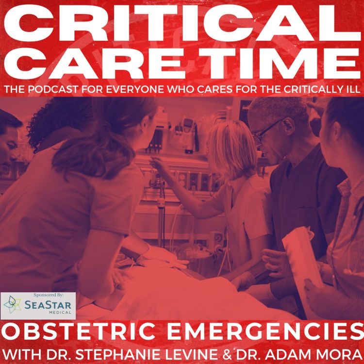 cover art for 45. Obstetric Emergencies with Dr. Stephanie Levine and Dr. Adam Mora