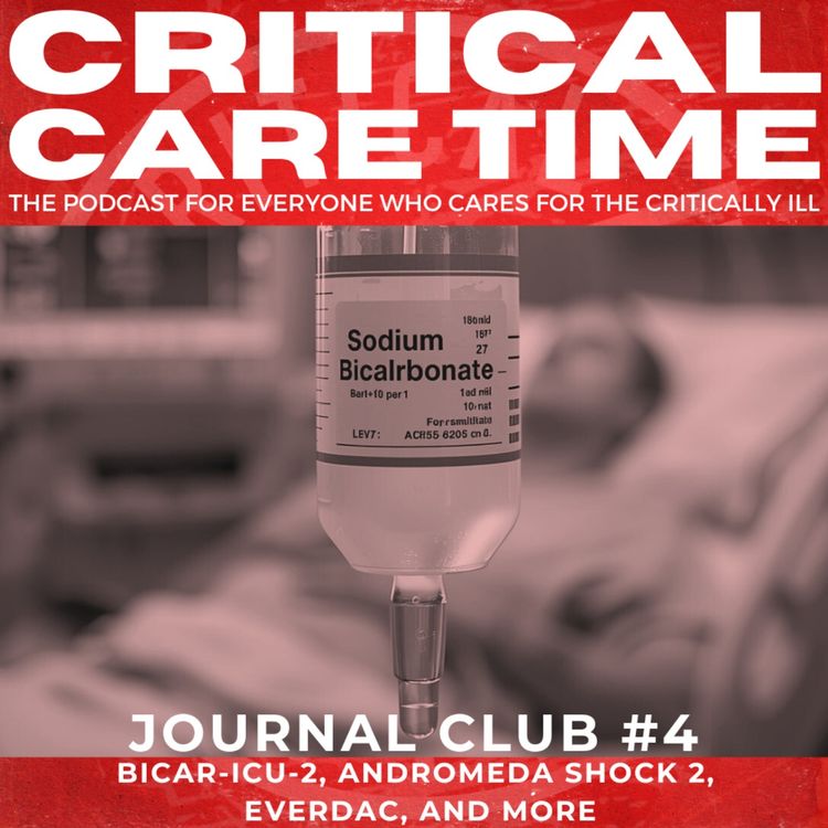 cover art for 64. JC4: End of 2025 Journal Club