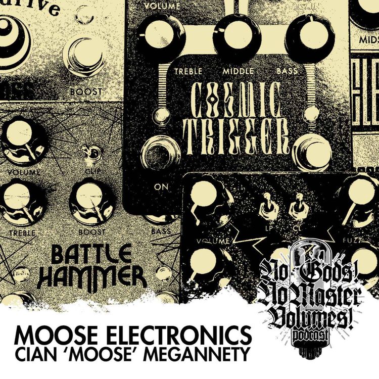 cover art for 34 Moose Electronics