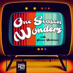 cover art for One Season Wonders