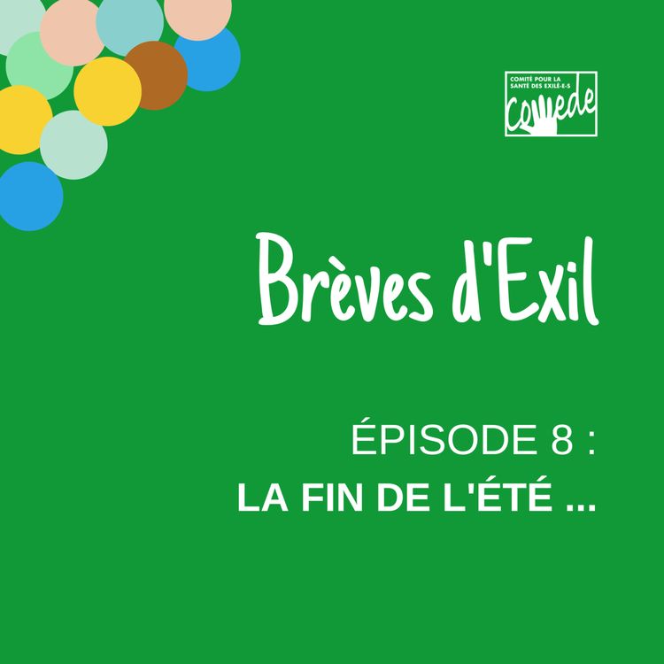 cover art for Episode 8 : la fin de lété...