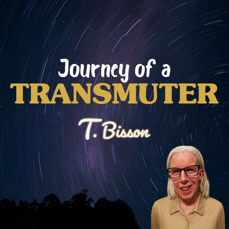 cover art for The First Of A Thousand Steps In My Journey As A Transmuter