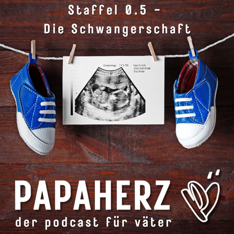 cover art for Das 1. Trimester - Tabuthema Fehlgeburt