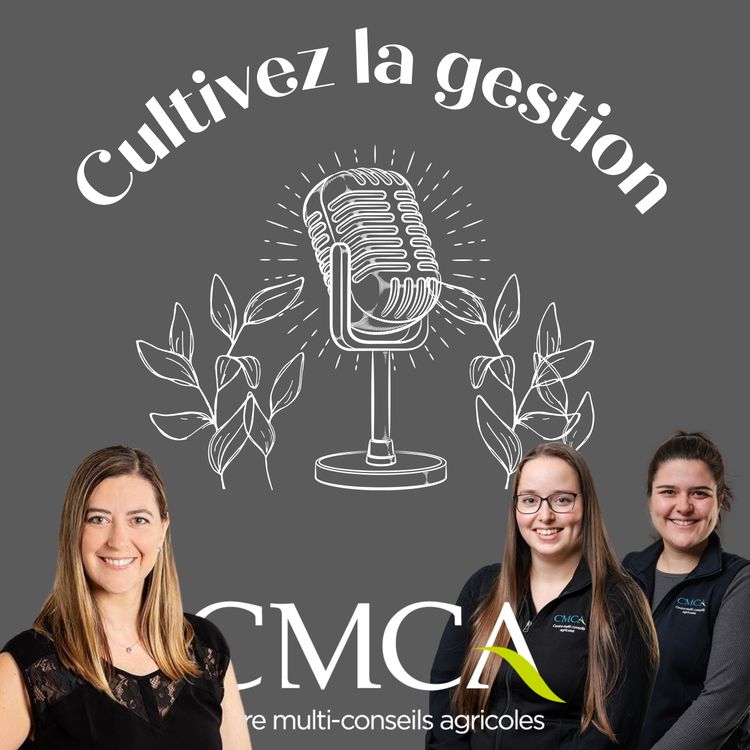 cover art for Mythes et réalités de la commercialisation agroalimentaire