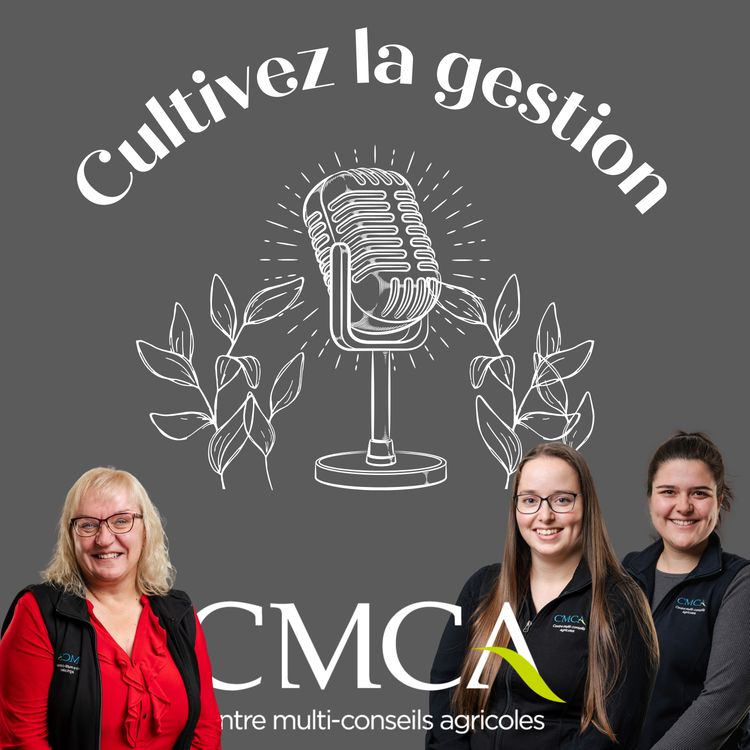 cover art for La tenue de livres à distance, c’est possible!