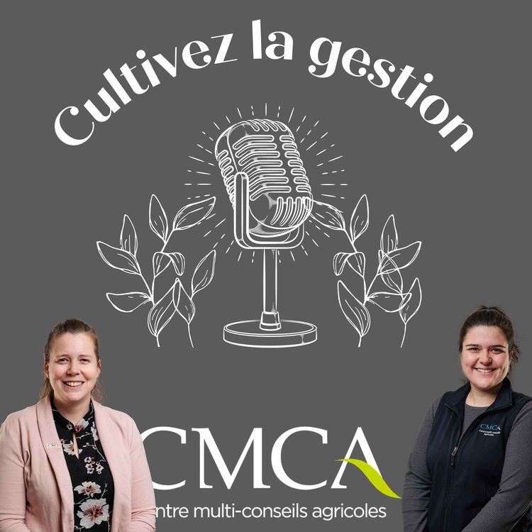 cover art for  Gestion de l’information : laissez vos outils travailler pour vous!