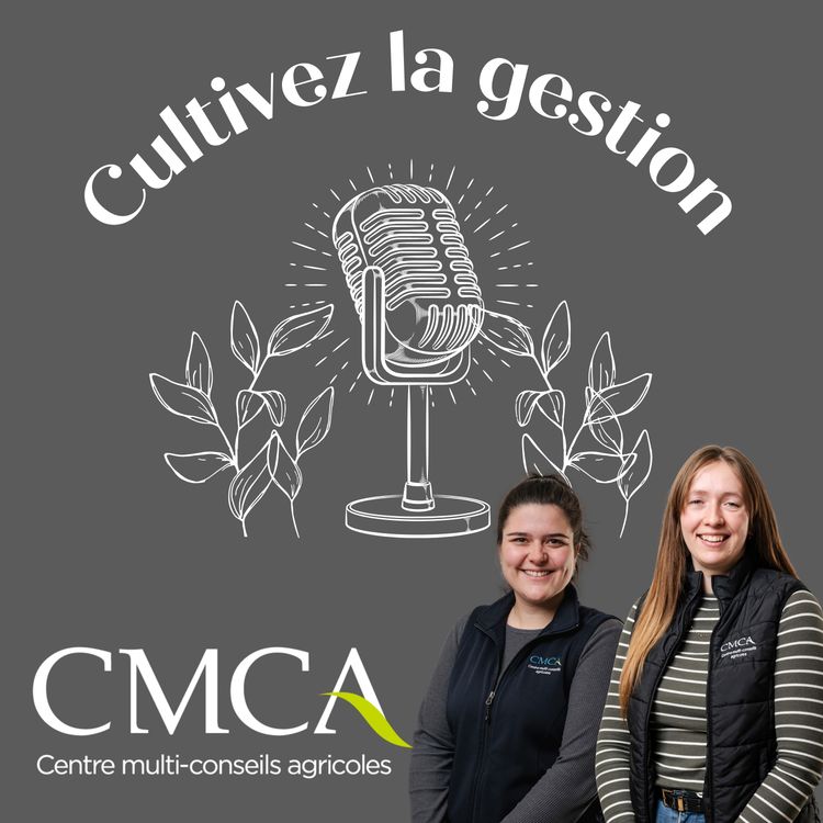 cover art for Analyse de groupe laitière 2025 : comprendre les tendances et situer son entreprise