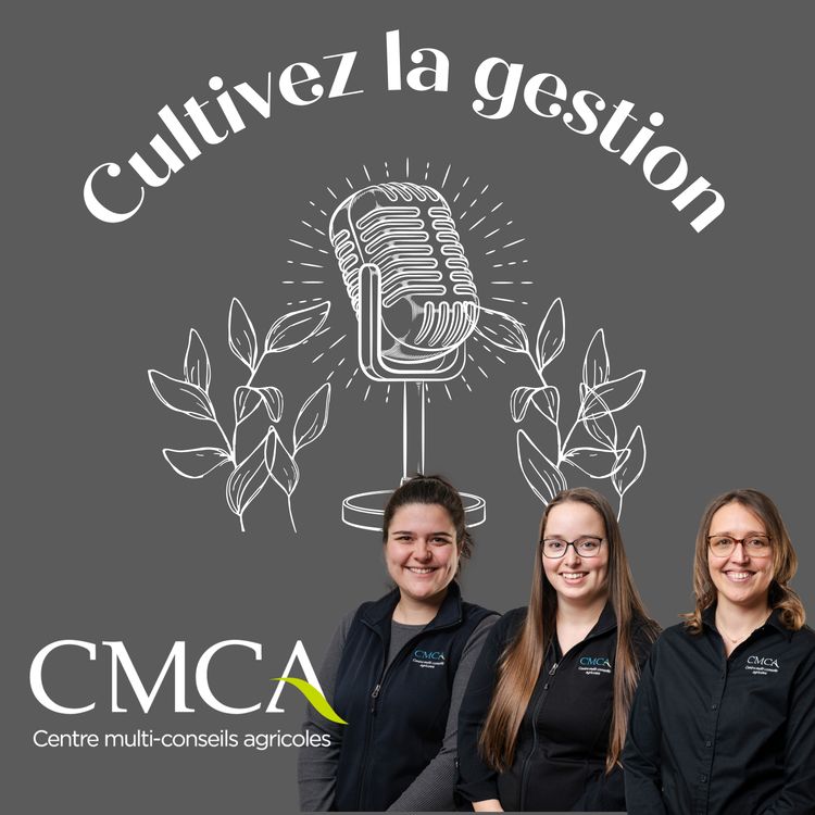 cover art for La boîte à outils en gestion des ressources humaines