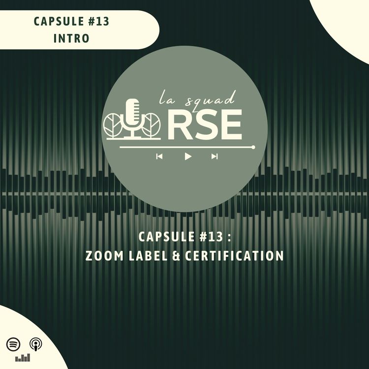 cover art for Capsule #13 - Zoom label & certification