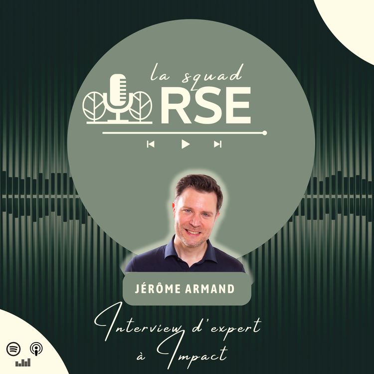 cover art for [Interview d'expert] - Jérôme Armand, CEO de Orseo