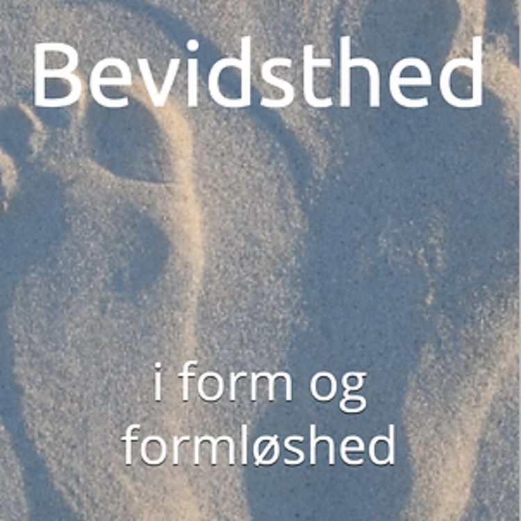 cover art for SKABELSE og BEVIDSTHED