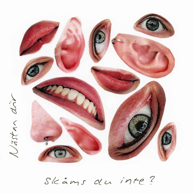 cover art for Skäms du inte?
