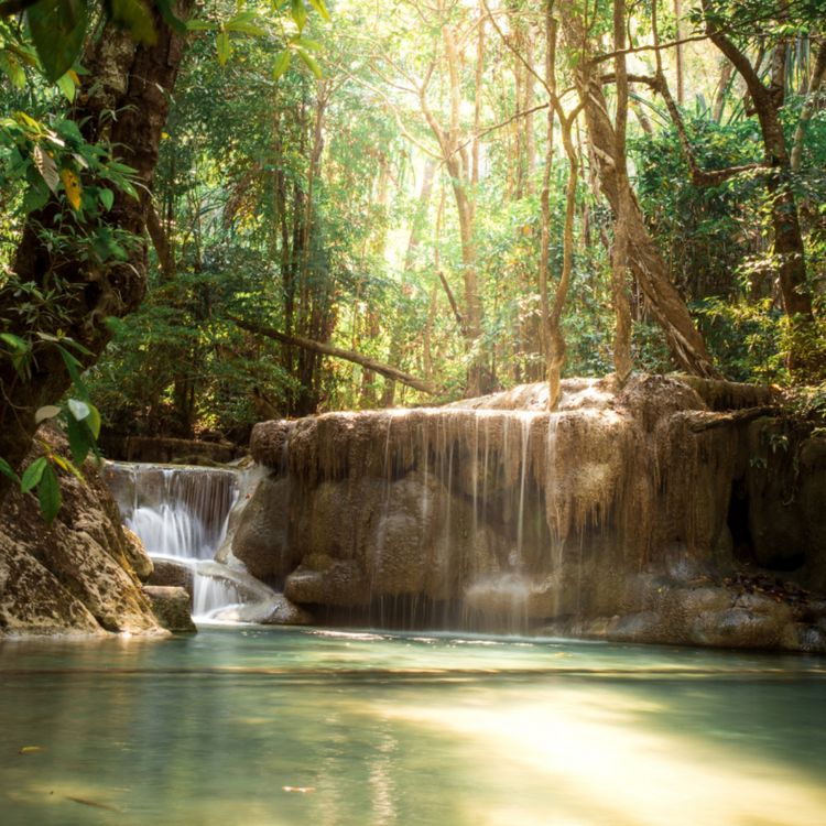 cover art for The Cop and the Anthem - O'Henry