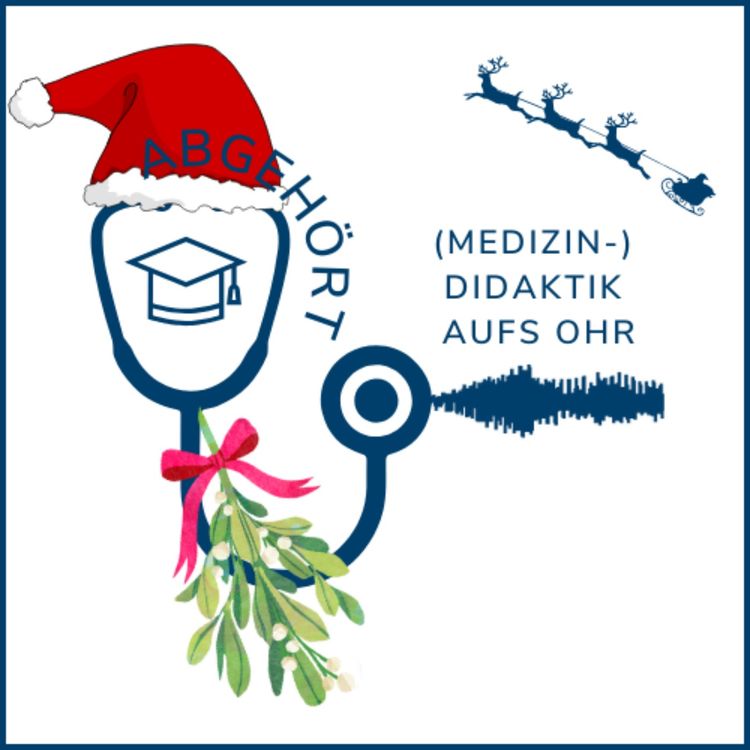 cover art for Christmas Overload oder Festliche Lernfreude?