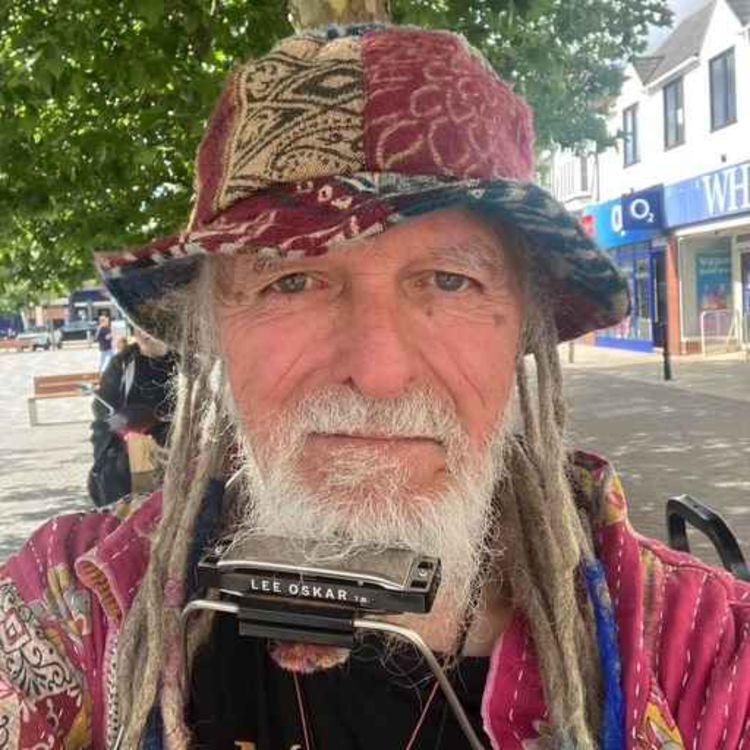 cover art for Meet Marshlander - Musician and Mono band 