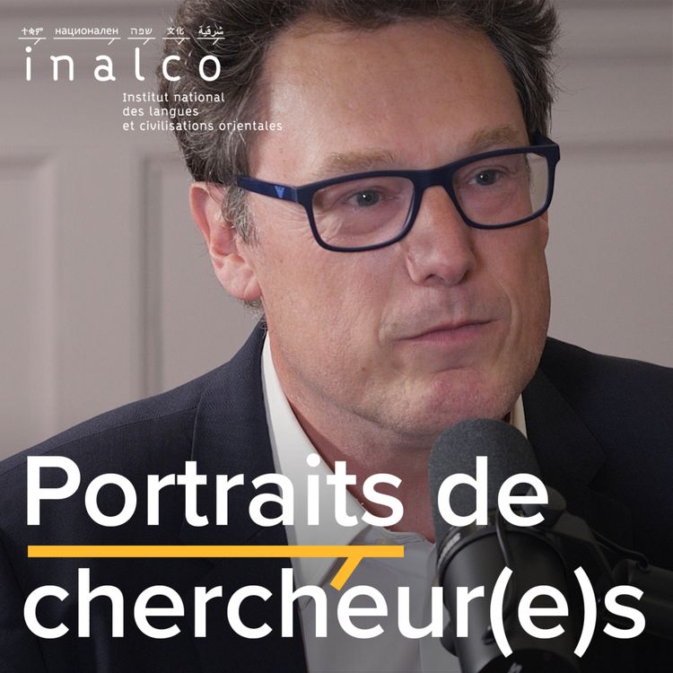 cover art for Des conflits armés en Afrique. Un entretien avec Marc-Antoine Pérouse de Montclos