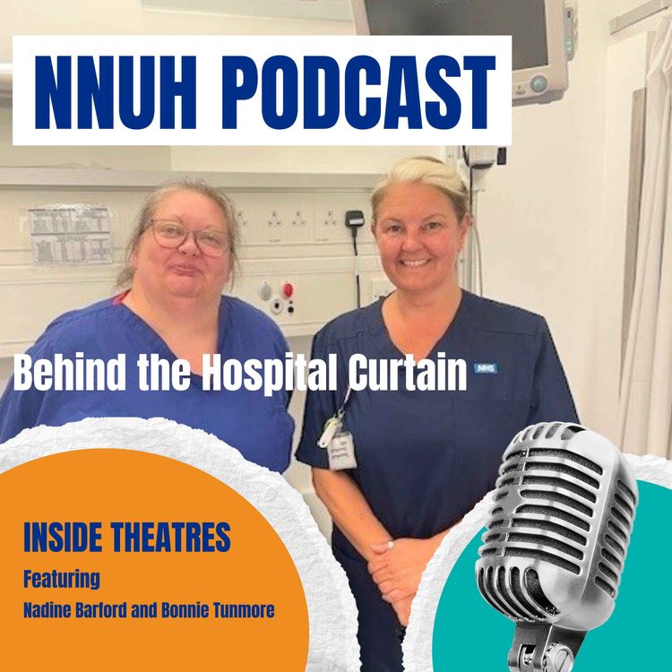 cover art for Inside Theatres