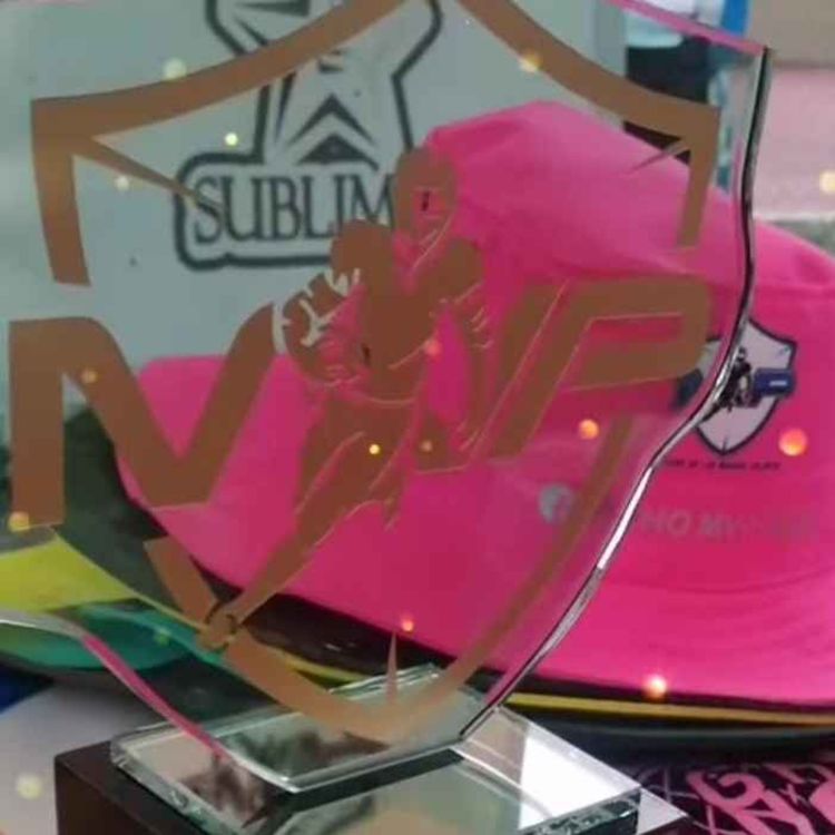 cover art for Campeonatos: Raptors, Ositos Cariñositos, Hasbulla, Vaquitas