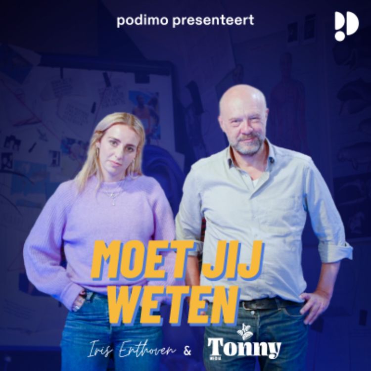 cover art for Waarom houden we goede voornemens nooit vol?