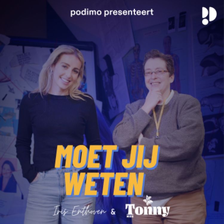 cover art for Waarom vinden we hetero zijn zo gewoon?