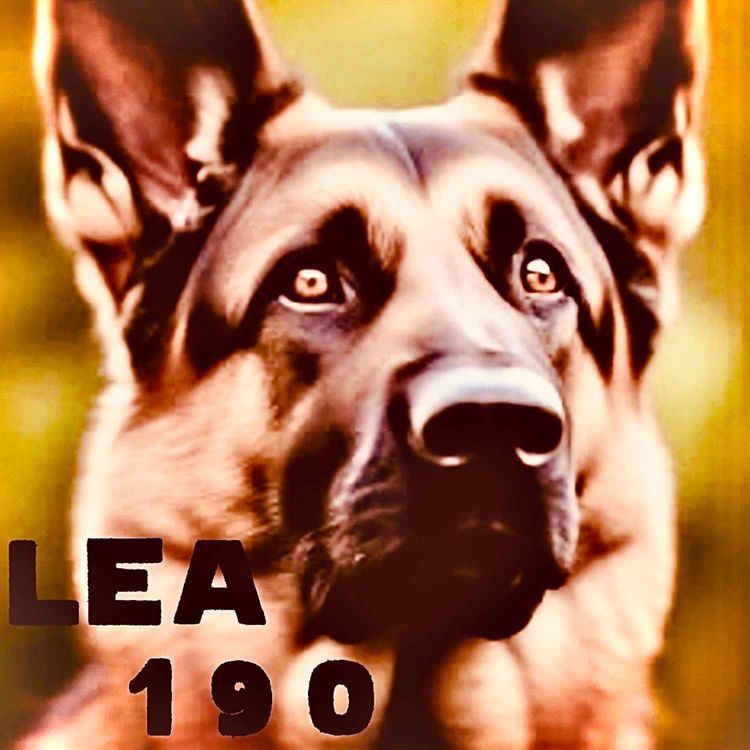 cover art for #190: Motorwelt International