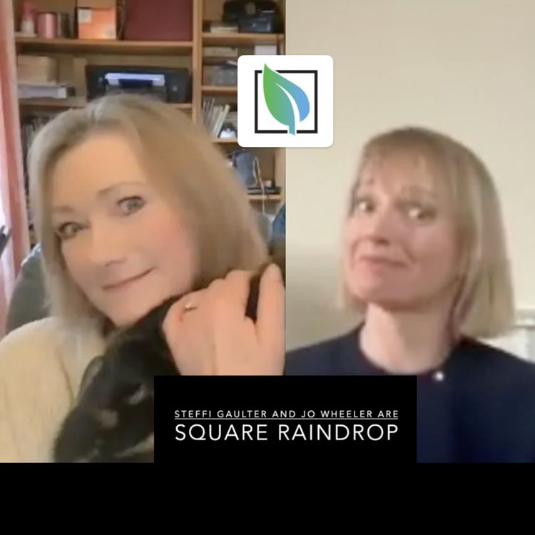 cover art for The Invisible Cat