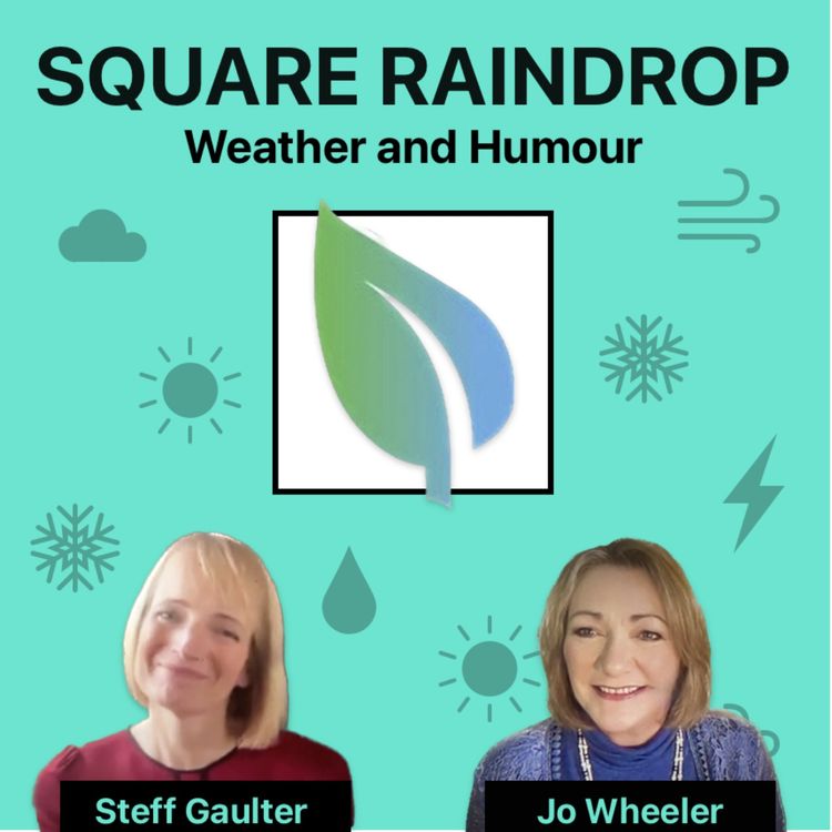 cover art for Hurricanes, Cider and Snapping Branches - The Square Raindrop Podcast